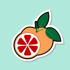 Grapefruit Sticker On Blue Background Colorful Fruit Icon Vector Illustration