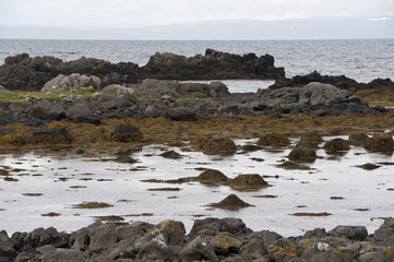 Coast in a typical Icelandic landscape Vatnsnes Peninsula, a wild nature of rocks and shrubs, rivers and lakes.