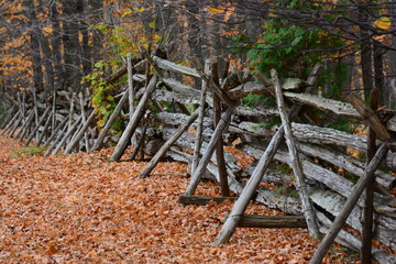 Country fence in the fall