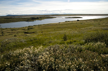 Typical Icelandic landscape, a wild nature of rocks and shrubs, rivers and lakes.