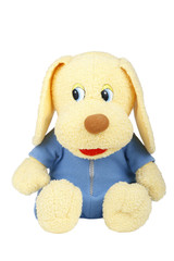 Plush dog on a white background. Isolated photo