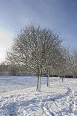 snowscene2