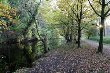 Schöner Herbsttag am Alsterwanderweg, Hamburg
