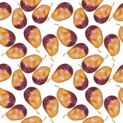 Watercolor plum seamless pattern
