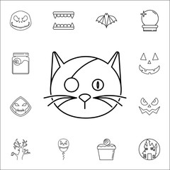 Pirates Cat icon. Set of Halloween icons