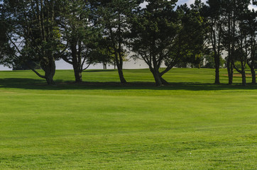 Fototapeta na wymiar General view of a green golf course on a bright sunny day. Idyllic summer landscape. Sport, relax, recreation and leisure concept