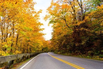 Obraz premium Side Fall Road