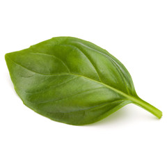 Sweet basil herb leaves isolated on white background closeup