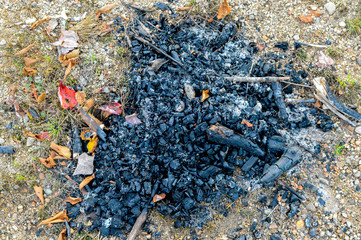 Ash and coals from the fire in Mont Tremblant National Park in fall, Canada