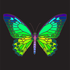 Fototapeta na wymiar Mosaic butterfly