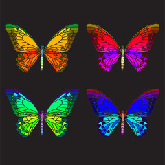 Fototapeta na wymiar Bright butterfly