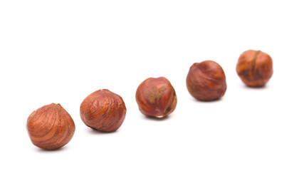 Hazelnuts on a White Background