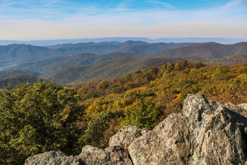 Fototapeta na wymiar Bearfence Mountain in fall Shenandoah National Park, Virginia