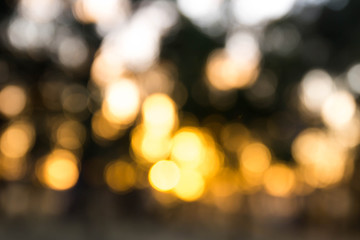 Golden Bokeh at Sunrise