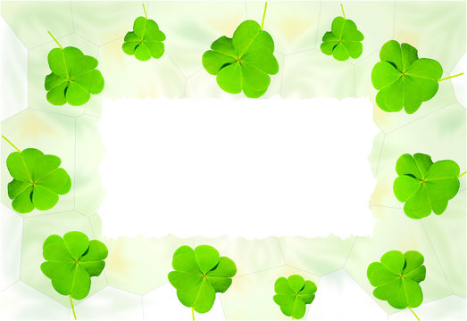  Frame of green clover leafs picture background