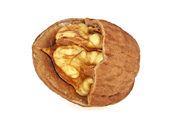 Closeup of a walnut isolated on a white background