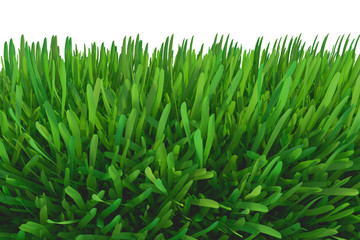 Fototapeta na wymiar green grass meadow. plants lawn. 3d rendering