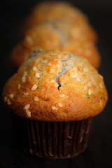 blueberry muffins in a rustic style.