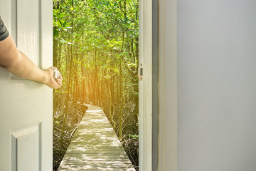 open the door to walkway on forest of mangroves