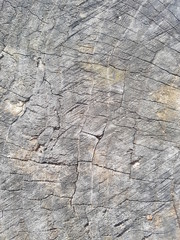 Old wood