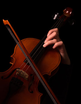 Bow and female fingers on violin strings isolated on black background