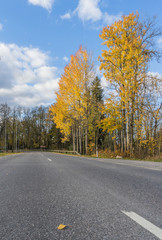 Obraz premium Autumn road