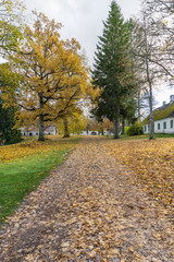 Obraz premium Autumn road