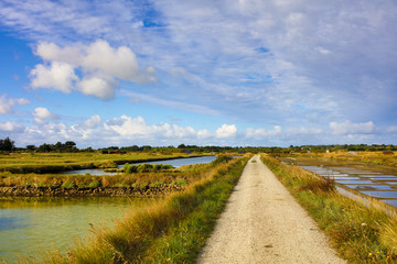 marais salant olonne sur mer