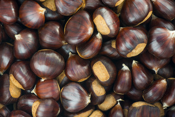 pile of chestnuts