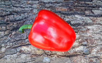 Colorful and delicious bell peppers