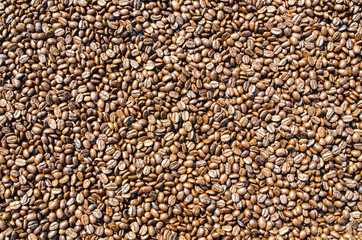 Coffee beans that have been shelled and dried in the sun are ready for roasting.