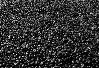 Roasted coffee beans are black and ready to be ground and brewed.