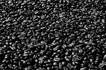 Roasted coffee beans are black and ready to be ground and brewed.
