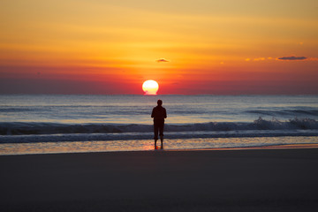 Fototapeta premium Salutations To The Sun - Fraser Island Queensland Australia