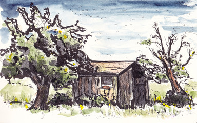painting of a shed