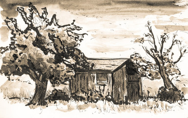 painting of a shed