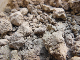 Soil Texture