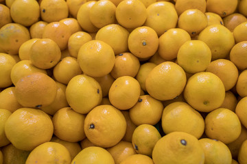 lemons on the market counter