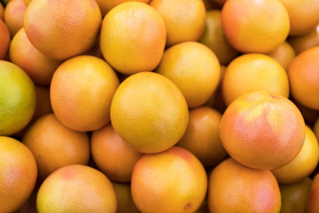 grapefruits on the market counter