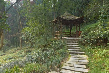 Stairway leading up in the park
