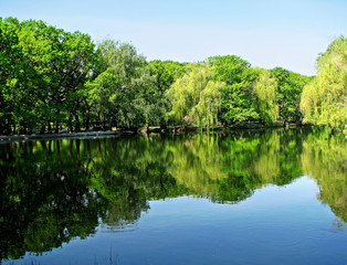 Landscape of the city park.