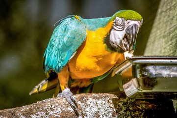 Fototapete bei efototapeten.de bestellen   