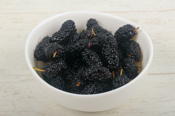 Black Mulberry