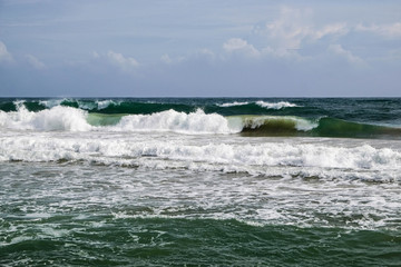 The wild south of the Indian ocean