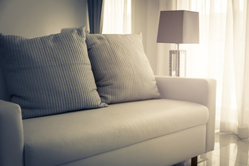 Cozy contemporary interior of Living room with part of sofa in sunny day and white curtain interior background concept