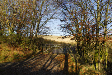 Gate on a country land along the Taff Trail in the Brecon Beacons National Park
