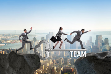 Fototapeta premium Business people in teamwork concept