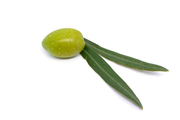 Oliva con foglie su sfondo bianco 