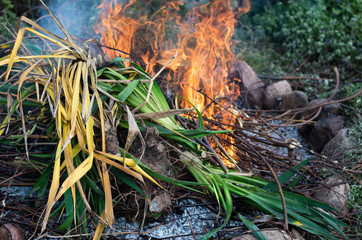 Bonfire of plants during autumn works in garden