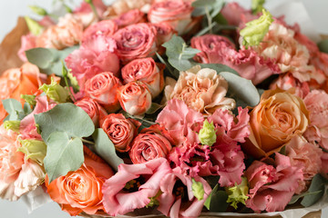 Powdery pink color. Flower branch rose, Buds, close-up.